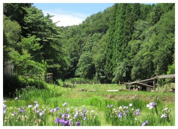 Ảnh: Japan travel